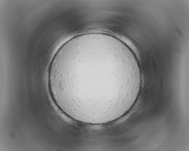 X0000111511431200908111259