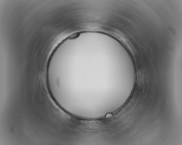 X0000111511432200908111259