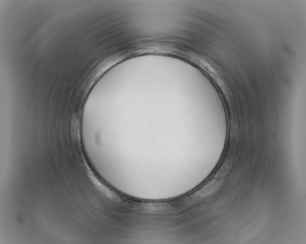 X0000111511433200908111259