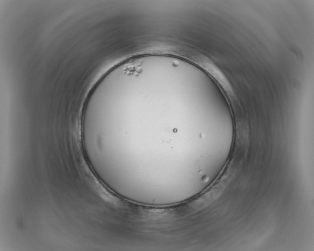 X0000111511436200908111259