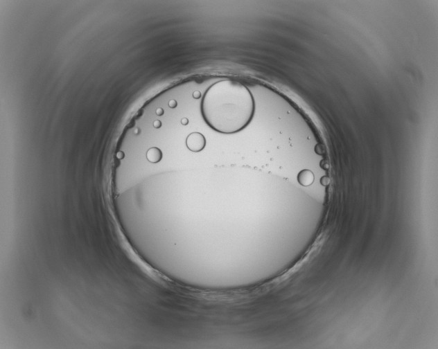 X0000111511437200908111259