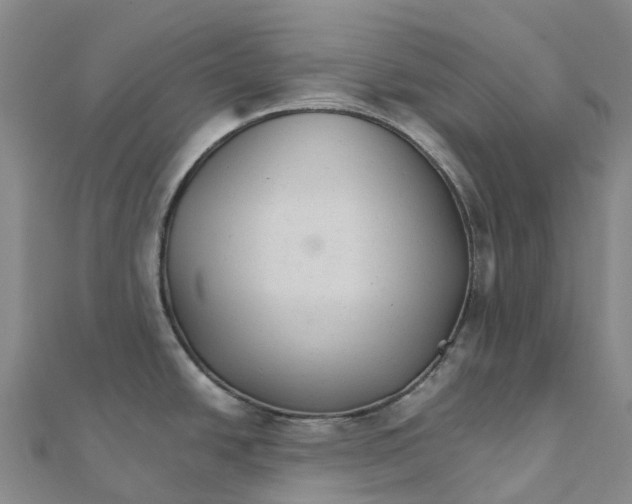 X0000111511438200908111259