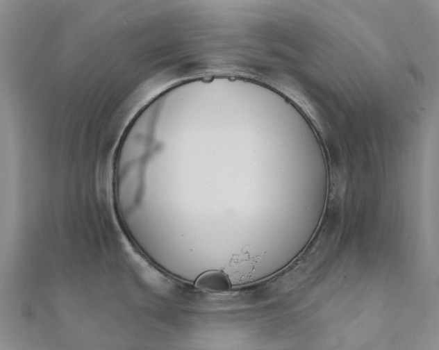 X0000111511439200908111259