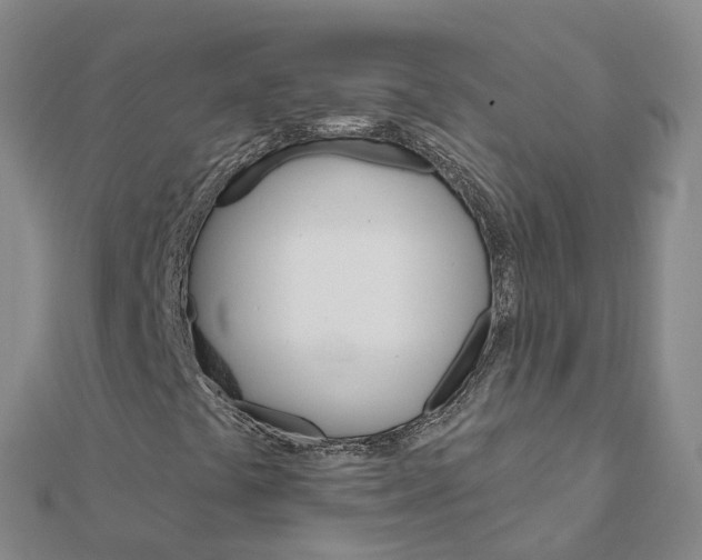 X0000111511441200908111258
