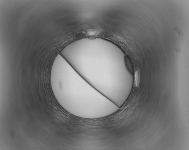 X0000111511443200908111258