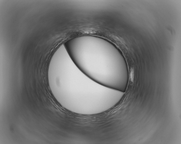 X0000111511444200908111258