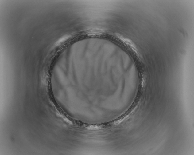 X0000111511445200908111258
