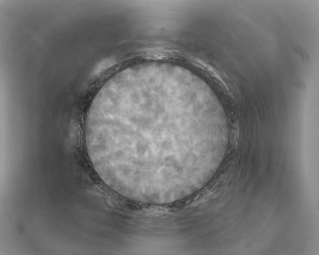 X0000111511446200908111258