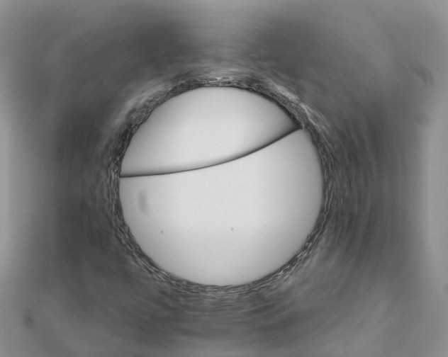 X0000111511447200908111258
