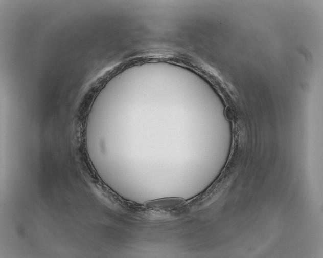 X0000111511448200908111258