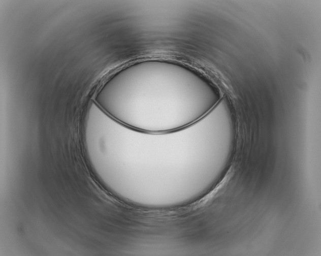 X0000111511449200908111258