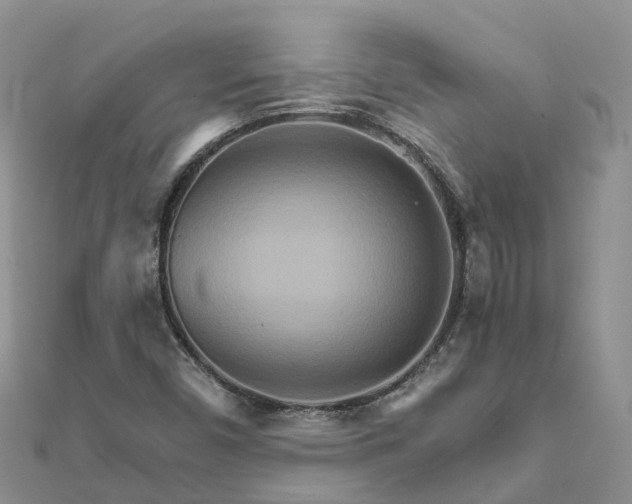 X0000111511450200908111258