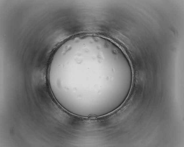X0000111511451200908111258