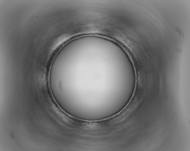 X0000111511452200908111258