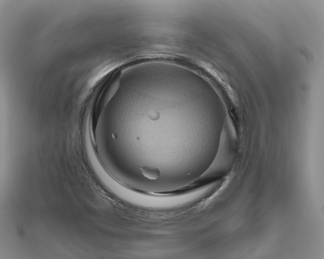 X0000111511453200908111258