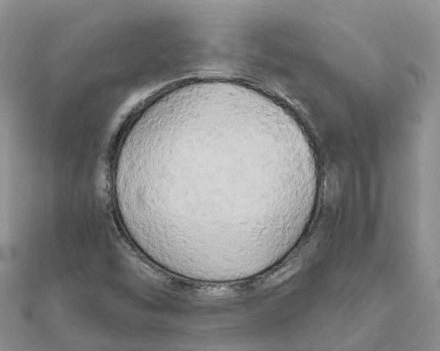 X0000111511454200908111258