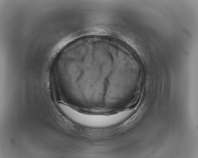 X0000111511455200908111258