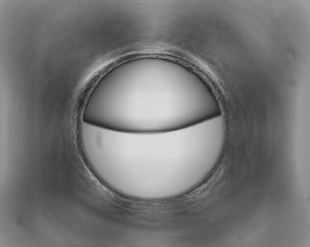X0000111511456200908111258