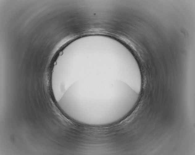 X0000111511458200908111258