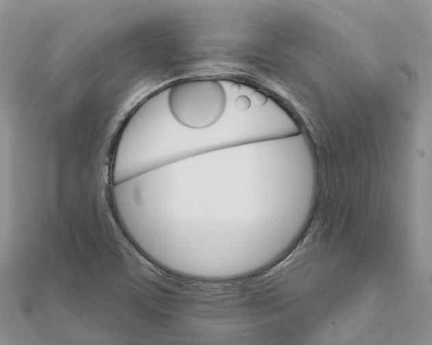 X0000111511459200908111258