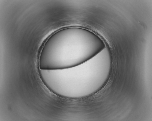 X0000111511460200908111258