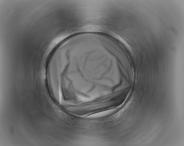X0000111511461200908111258