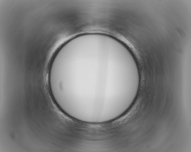 X0000111511462200908111258