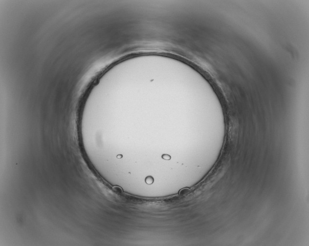 X0000111511464200908111258