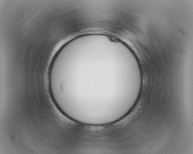 X0000111511466200908111258