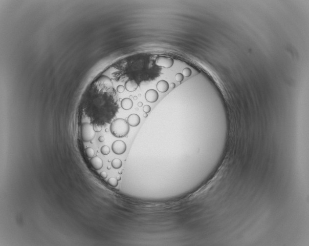 X0000111511467200908111258