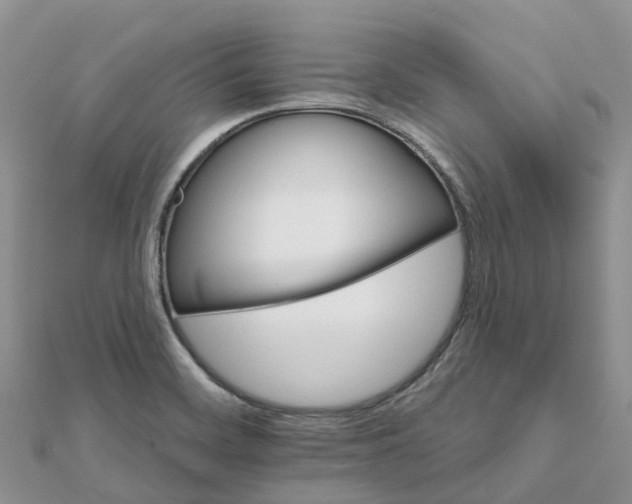 X0000111511468200908111258