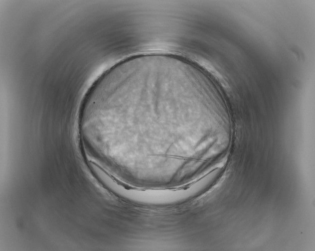 X0000111511469200908111258