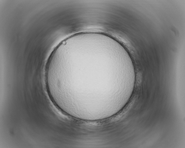 X0000111511470200908111258
