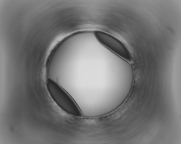 X0000111511472200908111258