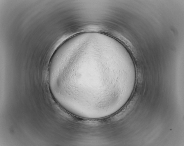 X0000111511473200908111258
