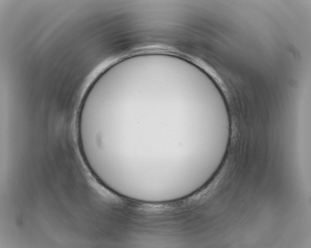 X0000111511474200908111258