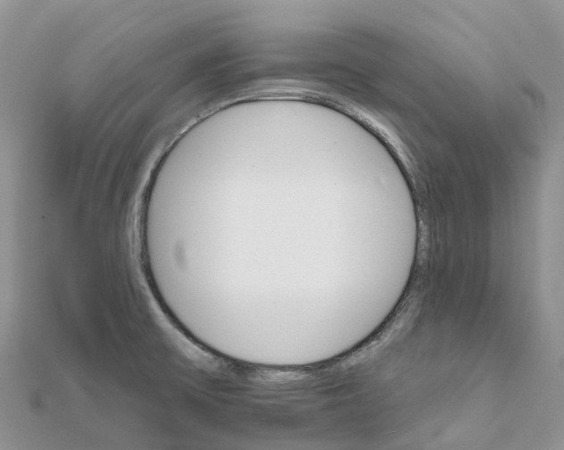 X0000111511475200908111258