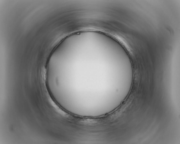 X0000111511476200908111258