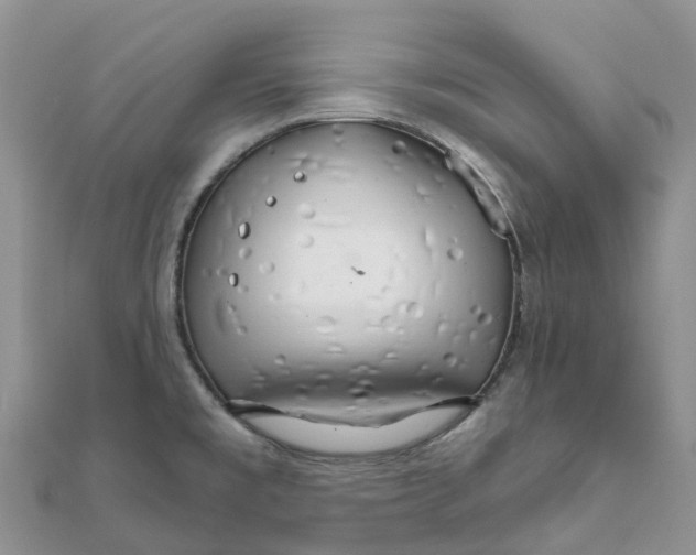 X0000111511477200908111258