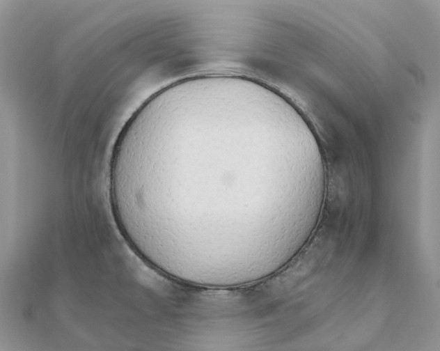 X0000111511478200908111258