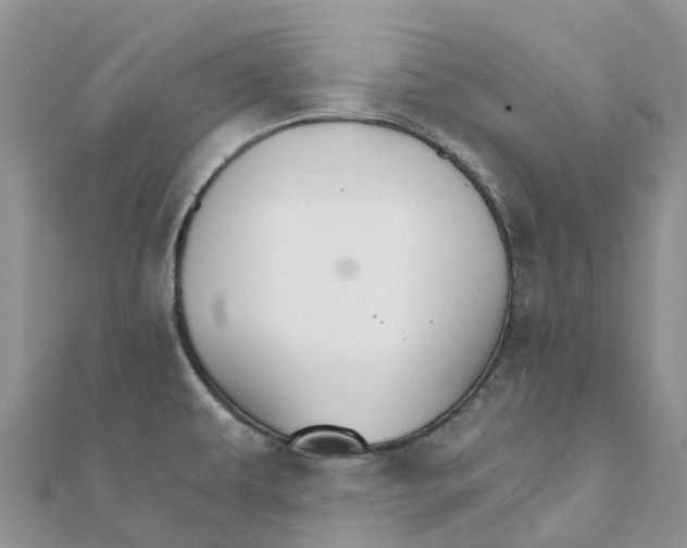 X0000111511479200908111258