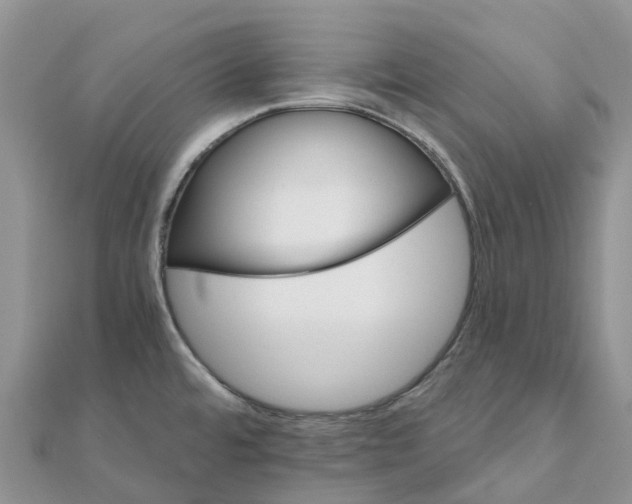 X0000111511480200908111258
