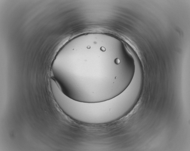 X0000111511481200908111258