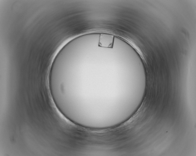 X0000111511484200908111258