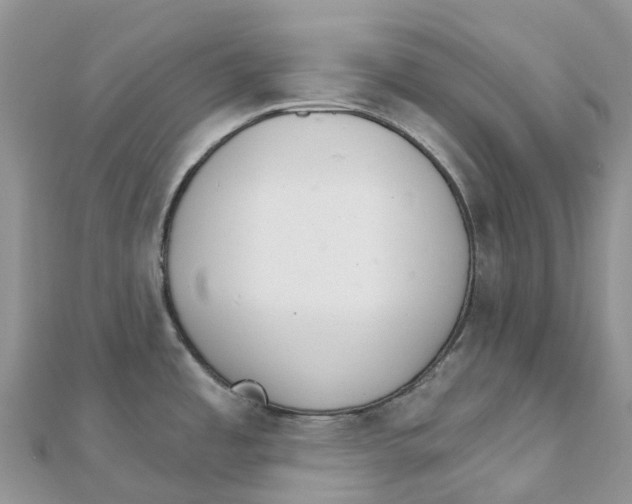 X0000111511485200908111258