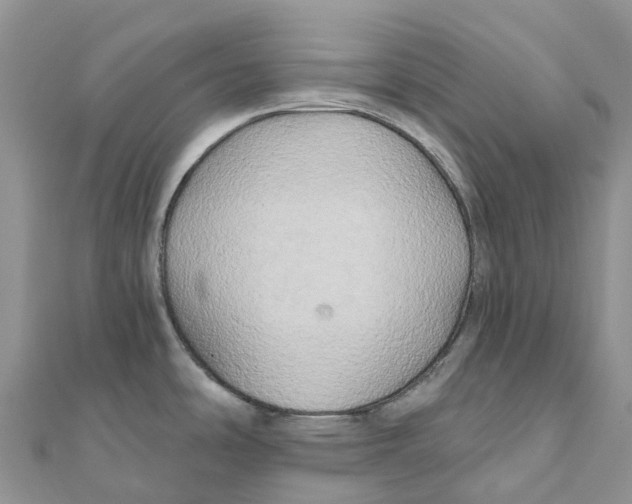 X0000111511486200908111258