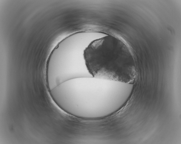 X0000111511487200908111258