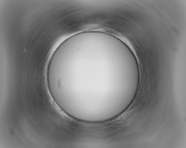 X0000111511488200908111258