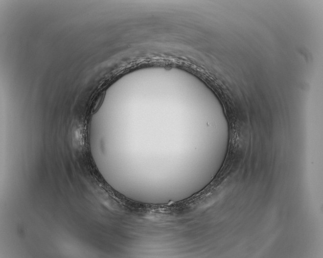 X0000111511490200908111257