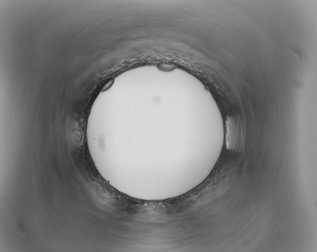 X0000111511491200908111257